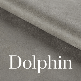 Premium Dolphin